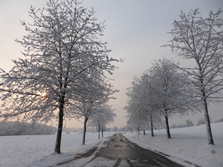 Foto: G.Puepke (Vorschaubild)